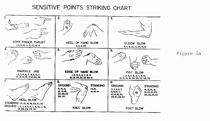 karate techniques pdf